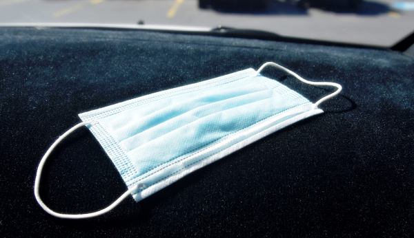 Роспотребнадзор: в 10 странах были случаи заражения вирусом Нипах