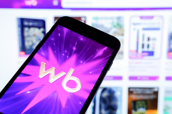 Wildberries и Ozon начали массовую чистку: какие товары исчезнут с маркетплейсов в августе