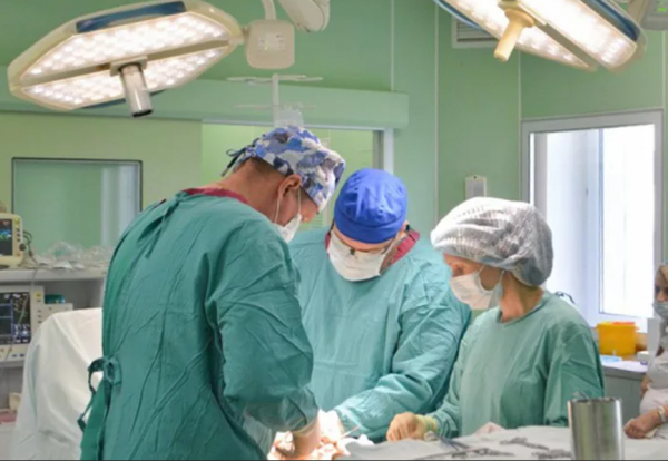 Telegraph: британка лишилась конечностей после сепсиса из-за собачьей слюны