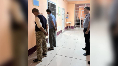 Серийных скотокрадов задержали в Туркестанской области