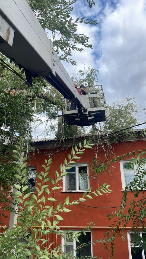 Помогли убрать упавшее дерево