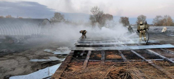 Пожар произошел на территории крестьянского-хозяйства в Усть-Каменогорске