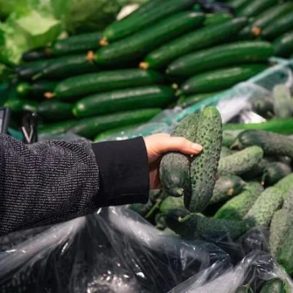 В Татарстане за неделю подешевели огурцы, сливочное масло и сметана