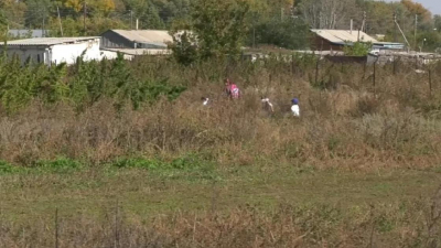 &quot;Это же опасно&quot;: еще в одном регионе Казахстане недовольны дорогой до школы (видео)