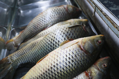 Рыба и морепродукты подорожали на 10% за год
