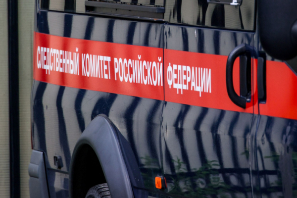 Волк раскрыла подробности скандала с избиением проводницы