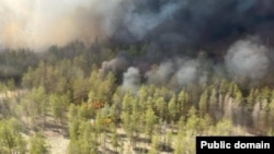 Жители трёх сёл на востоке Казахстана покинули дома из-за лесного пожара