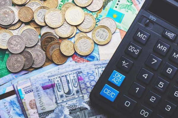 Государственная поддержка: 538,4 млрд тенге выплачено казахстанцам в виде пособий по инвалидности