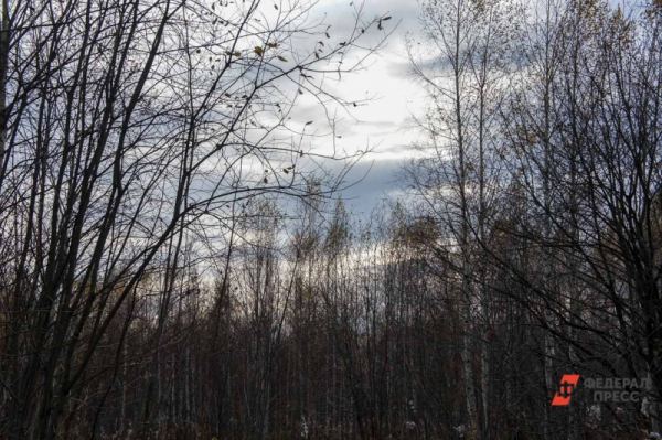 Ушел на глазах у коллег и исчез в тайге: в Якутии компания выплатит 2,7 млн семье пропавшего сотрудника