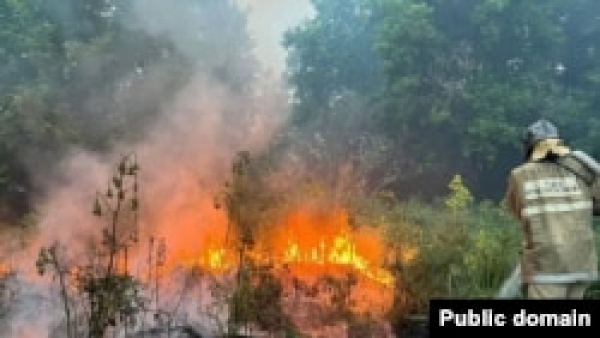 Сообщается об обнаружении трактора пропавшего ранее лесника в зоне пожара в области Абай