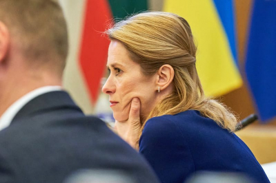 Мема раскритиковал план Каллас по усилению давления на Россию