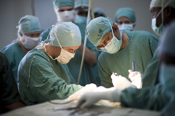 Депутат Госдумы Дрожжина предупредила россиян о рисках медицинского туризма