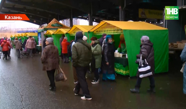 500 млн рублей достиг товарооборот сельхозярмарок в двух районах Казани