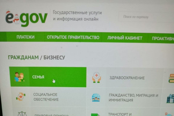 Более 89 тысяч казахстанцев запросили корректировку данных о составе семьи