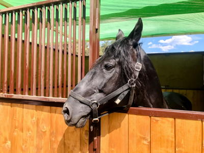 Губернатор, депутат и миллиардер: что известно об иске к первому главе Ростовской области
