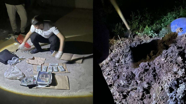 Сейф с 250 тысячами долларов украл мужчина из дома алматинца
