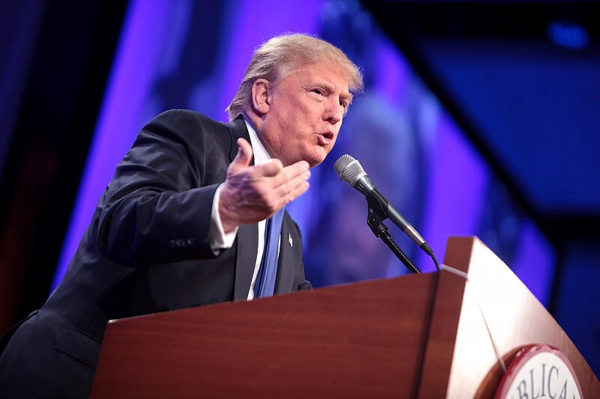 Политолог Брутер заявил, что Трамп пытается взять Россию в тиски