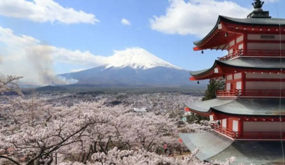 В японском городе отменили фестиваль цветения сакуры из-за разнузданных туристов