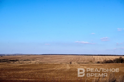 МЧС: переувлажнение почвы угрожает татарстанскому урожаю