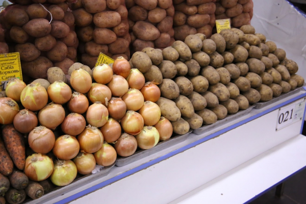 Фермеры привезут продукцию на ярмарку в Астану