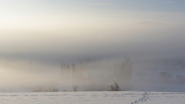 Жителей Татарстана предупредили о сильном тумане в ближайшие сутки