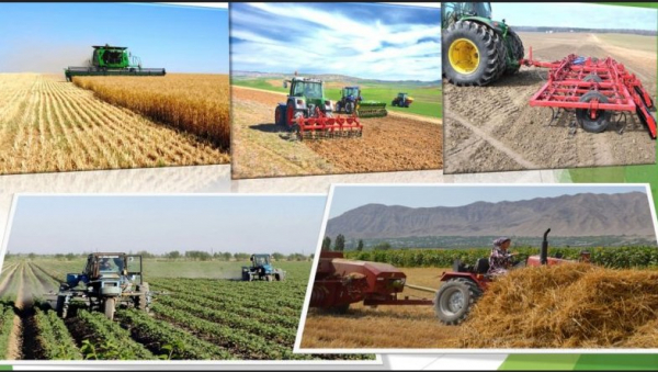 Какие возможности открывает &laquo;умное&raquo; сельское хозяйство в Таджикистане?