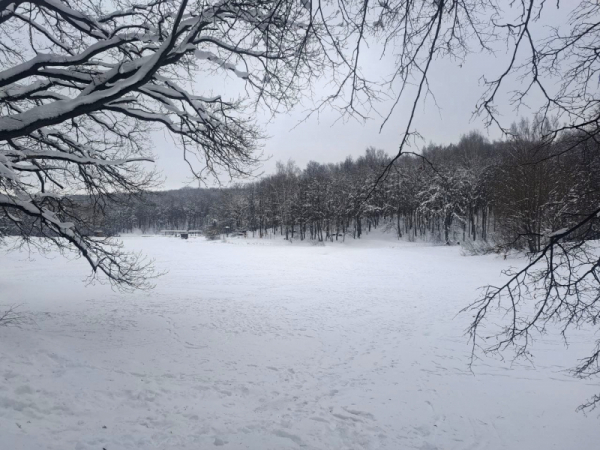 На Приморье надвигается новый циклон: синоптики рассказали, где пройдут осадки