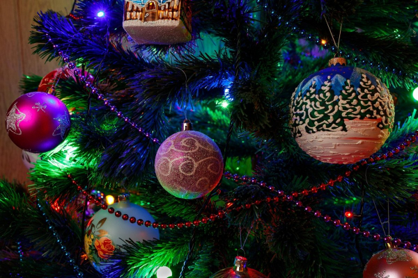 Полицейские предупредили желающих сэкономить на новогодней елке казахстанцев