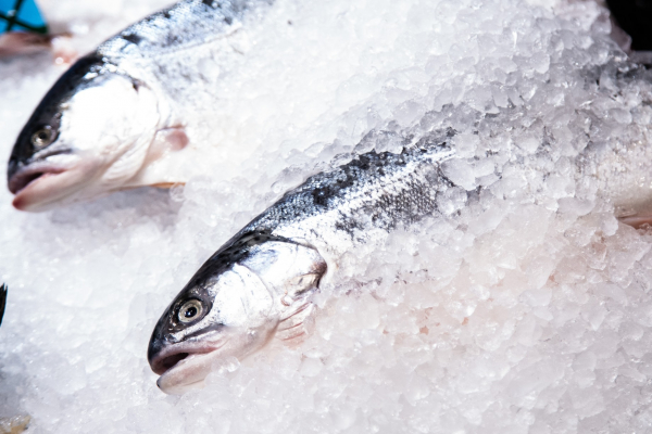 Балашов заявил, что роста цен на минтай до конца 2026 года не ожидается