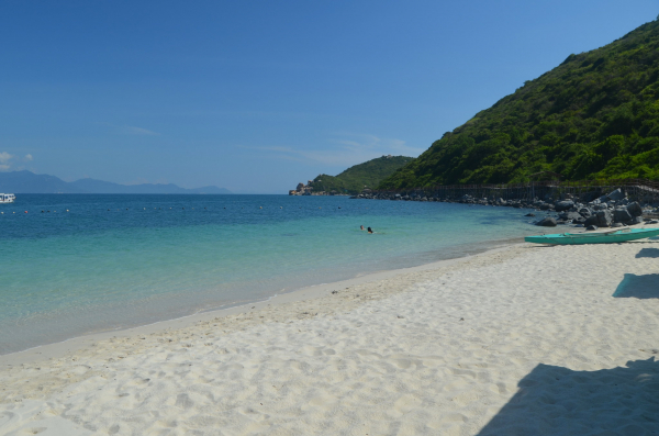 IHA: у берегов Антальи появились опасные для человека медузы весом до 10 кг