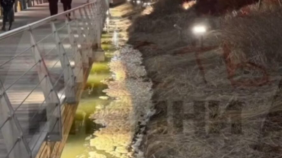 Озеро Кабан в Казани покрылось пахучей пеной 18/04/2026 &ndash; Новости