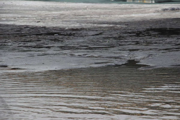 Большую воду первыми приняли дачи в поймах рек