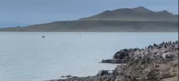 Почему казахстанцам запретили посещать несколько островов на озере Алаколь