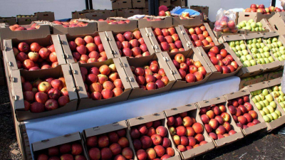 Аграрии четырех регионов привезут в Астану более 900 тонн продукции