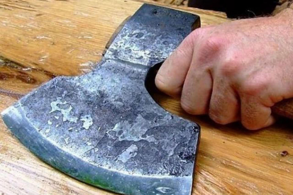 В Усть-Каменогорске живодер на камеру зарубил щенков топором