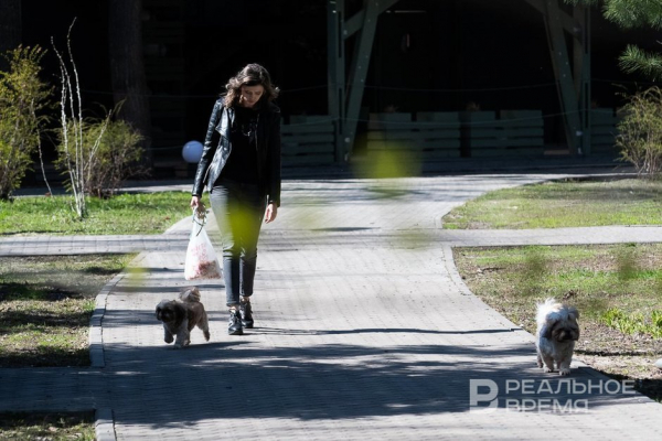 На &laquo;Госуслугах&raquo; 21 апреля стартует голосование за благоустройство
