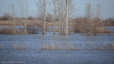 За 12 часов уровень воды в реке Жайык поднялся сразу в нескольких населенных пунктах