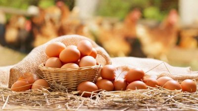 Яйца вторую неделю дорожают больше остальных социальных продуктов