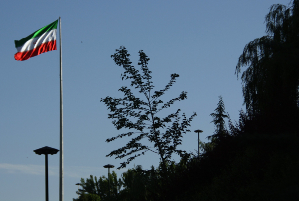 Вдова шаха Ирана призвала не спешить с выводами о смене власти