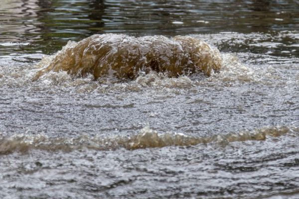 Уфимский магазин коллекционных пластинок погрузился в фекалии